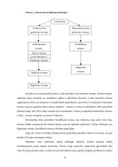 Lietuvos Respublikos (LR) ir Didžiosios Britanijos (DB) teisinės aplinkos apžvalga 15 puslapis
