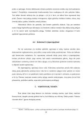 Lietuvos Respublikos (LR) ir Didžiosios Britanijos (DB) teisinės aplinkos apžvalga 20 puslapis