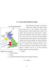 Lietuvos Respublikos (LR) ir Didžiosios Britanijos (DB) teisinės aplinkos apžvalga 9 puslapis