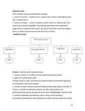 Lietuvos Respublikos (LR) mokesčių sistemos įtaka UAB "Rimo baldai" verslui 14 puslapis