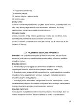 Lietuvos Respublikos (LR) mokesčių sistemos įtaka UAB "Rimo baldai" verslui 18 puslapis