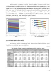 Lietuvos Respublikos (LR) valstybės biudžeto analizė (2005 – 2008 metais) 13 puslapis