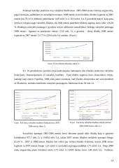 Lietuvos Respublikos (LR) valstybės biudžeto analizė (2005 – 2008 metais) 14 puslapis