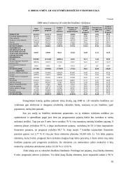 Lietuvos Respublikos (LR) valstybės biudžeto analizė (2005 – 2008 metais) 18 puslapis