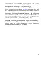 Lietuvos Respublikos (LR) valstybės biudžeto analizė (2005 – 2008 metais) 19 puslapis