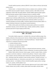 Lietuvos Respublikos (LR) valstybės biudžeto analizė 2008-2011 metais 12 puslapis