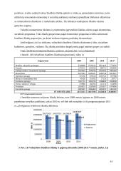 Lietuvos Respublikos (LR) valstybės biudžeto analizė 2008-2011 metais 13 puslapis