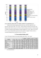 Lietuvos Respublikos (LR) valstybės biudžeto analizė 2008-2011 metais 15 puslapis