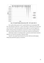 Lietuvos Respublikos (LR) valstybės biudžeto analizė 2008-2011 metais 19 puslapis