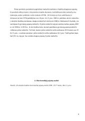 Lietuvos Respublikos (LR) valstybės biudžeto analizė 2008-2011 metais 9 puslapis