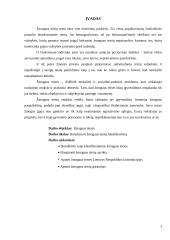 Žmogaus teisių klasifikavimas referatas 2 puslapis