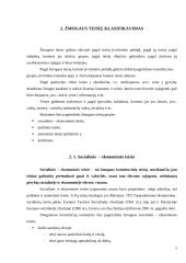 Žmogaus teisių klasifikavimas referatas 4 puslapis
