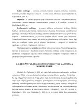 Narkomanijos prevencija mokykloje 20 puslapis