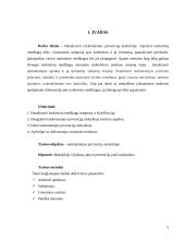 Narkomanijos prevencija mokykloje 5 puslapis