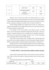 Naujo birių krovinių terminalo plėtra 11 puslapis