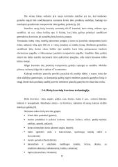 Naujo birių krovinių terminalo plėtra 13 puslapis