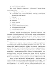 Naujo birių krovinių terminalo plėtra 14 puslapis