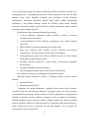 Naujo birių krovinių terminalo plėtra 15 puslapis