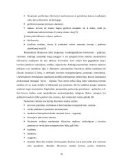 Naujo birių krovinių terminalo plėtra 16 puslapis