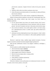 Naujo birių krovinių terminalo plėtra 17 puslapis