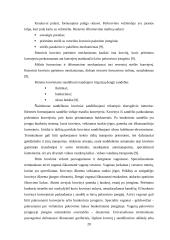 Naujo birių krovinių terminalo plėtra 18 puslapis