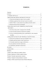 Naujo birių krovinių terminalo plėtra 3 puslapis