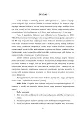 Naujo birių krovinių terminalo plėtra 4 puslapis