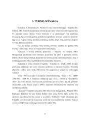 Naujo birių krovinių terminalo plėtra 6 puslapis