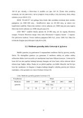 Naujo birių krovinių terminalo plėtra 9 puslapis