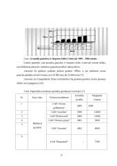 Naujo birių krovinių terminalo plėtra 10 puslapis