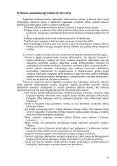Lietuvos transporto plėtros pagrindinės kryptys 12 puslapis