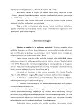 Naujo produkto rėmimas, įvedant jį į rinką 17 puslapis