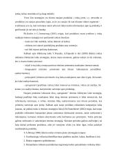 Naujo produkto rėmimas, įvedant jį į rinką 19 puslapis