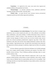 Naujo produkto rėmimas, įvedant jį į rinką 5 puslapis