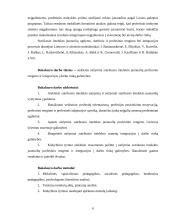 Nežymiai sutrikusio intelekto jaunuolių profesinis rengimas ir integracija į darbo rinką 3 puslapis