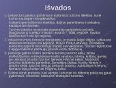 Lietuvos vidaus turizmas: geografinis aspektas 11 puslapis