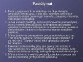 Lietuvos vidaus turizmas: geografinis aspektas 12 puslapis