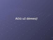 Lietuvos vidaus turizmas: geografinis aspektas 13 puslapis