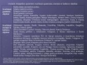 Lietuvos vidaus turizmas: geografinis aspektas 3 puslapis