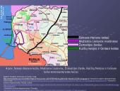 Lietuvos vidaus turizmas: geografinis aspektas 7 puslapis