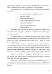 Organizacinių valdymo struktūrų formavimo principai 12 puslapis
