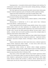 Organizacinių valdymo struktūrų formavimo principai 13 puslapis
