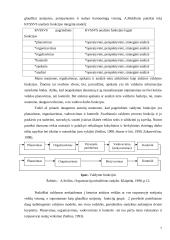 Organizacinių valdymo struktūrų formavimo principai 8 puslapis