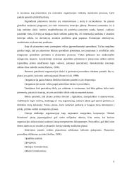 Organizacinių valdymo struktūrų formavimo principai 10 puslapis