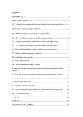 Lietuvos vyriausybinių institucijų vaidmuo aplinkos apsaugos politikoje 2 puslapis
