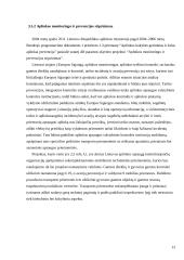 Lietuvos vyriausybinių institucijų vaidmuo aplinkos apsaugos politikoje 13 puslapis
