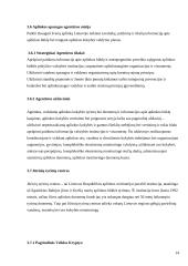 Lietuvos vyriausybinių institucijų vaidmuo aplinkos apsaugos politikoje 14 puslapis