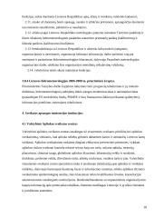 Lietuvos vyriausybinių institucijų vaidmuo aplinkos apsaugos politikoje 18 puslapis