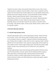 Lietuvos vyriausybinių institucijų vaidmuo aplinkos apsaugos politikoje 19 puslapis
