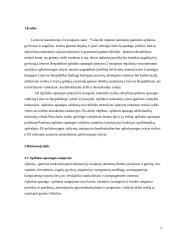 Lietuvos vyriausybinių institucijų vaidmuo aplinkos apsaugos politikoje 3 puslapis